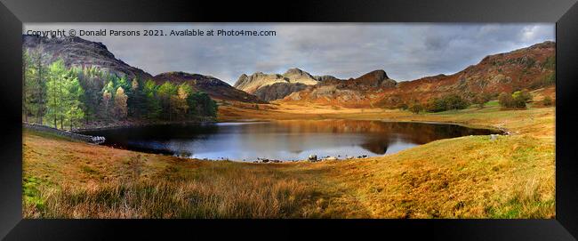 Blea Tarn Panorama Framed Print by Donald Parsons