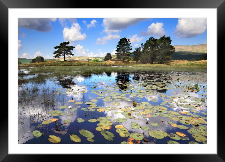 Kelly Hall Tarn, Cumbria Framed Mounted Print by Donald Parsons