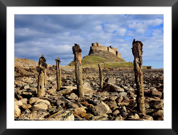 Lindesfarne Castle, Holy Isle Framed Mounted Print by Donald Parsons