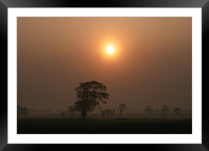 Misty Morning Framed Mounted Print by Damien VC