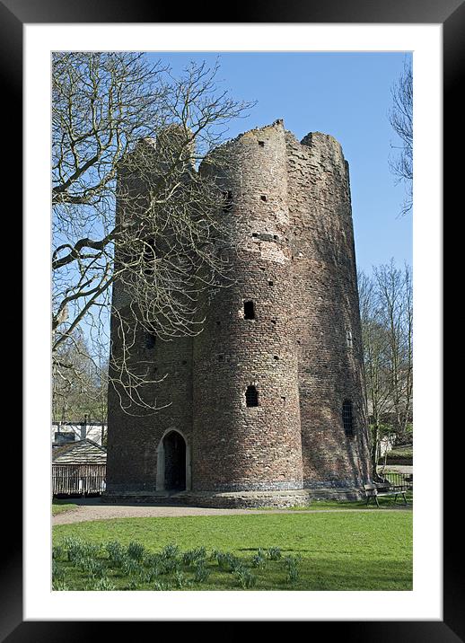 Cow Tower, Norwich Framed Mounted Print by Damien VC