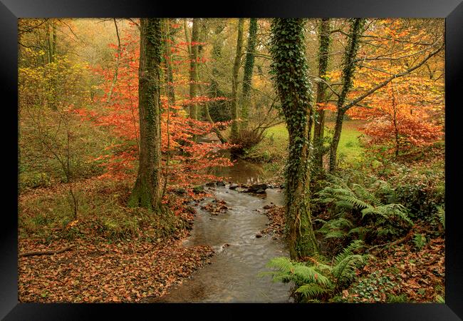 Autumn at Wenchford Framed Print by David Tinsley