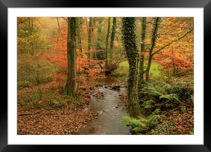 Autumn at Wenchford Framed Mounted Print by David Tinsley