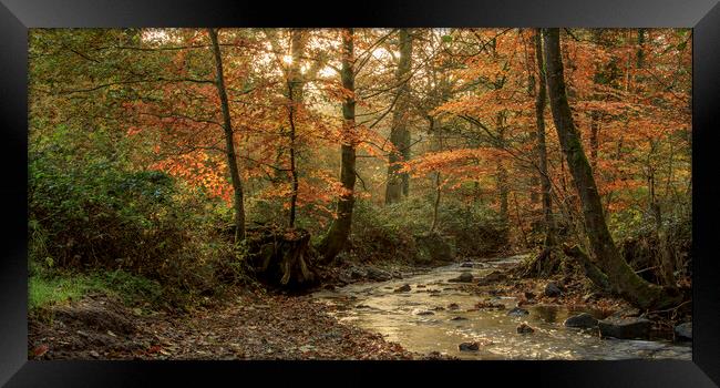 Autumn at Wenchford Framed Print by David Tinsley