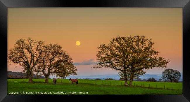 December Moon Panorama Framed Print by David Tinsley