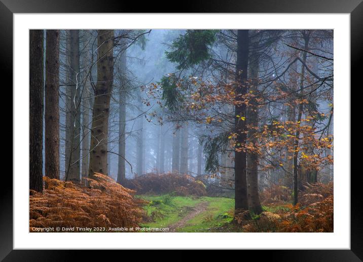Misty Woodland Path Framed Mounted Print by David Tinsley
