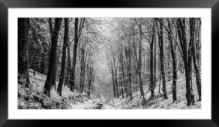 Winter Woodland Panorama Framed Mounted Print by David Tinsley