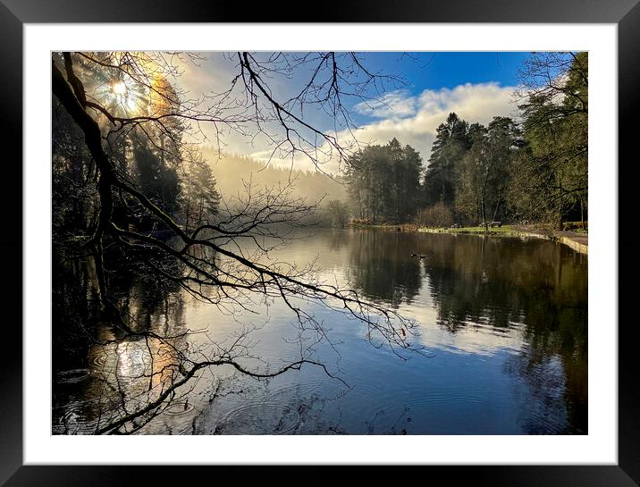 Winter Reflections Framed Mounted Print by David Tinsley