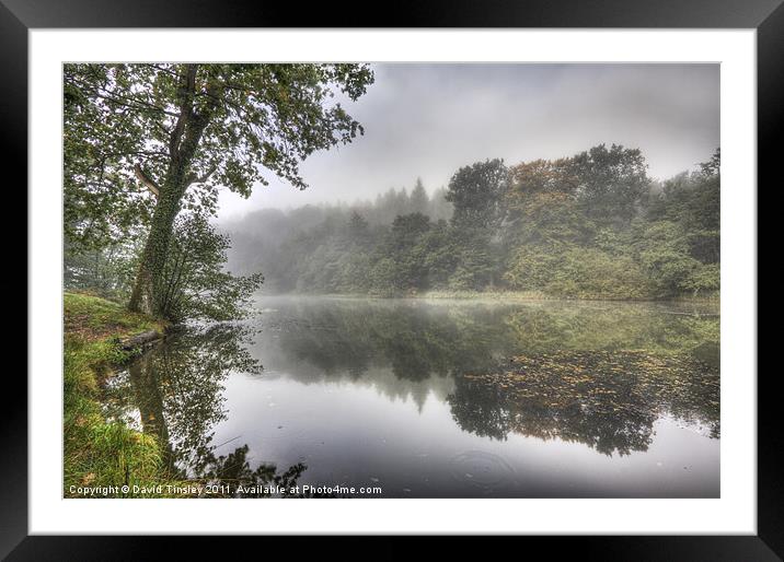 Autumn Mist Framed Mounted Print by David Tinsley