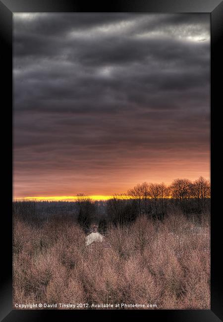 Forest Sunrise Framed Print by David Tinsley