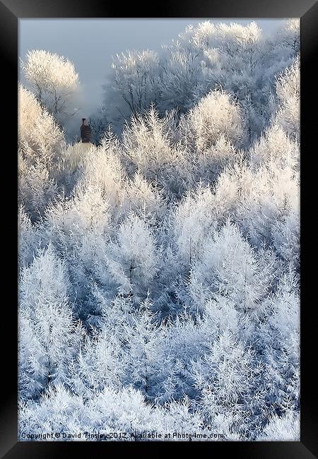 Snow Cottage Framed Print by David Tinsley