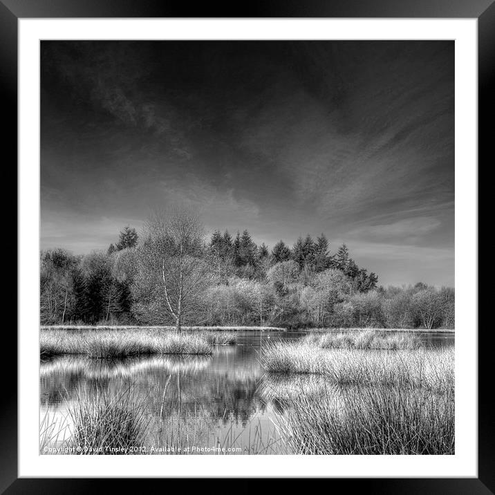 Reflections Framed Mounted Print by David Tinsley