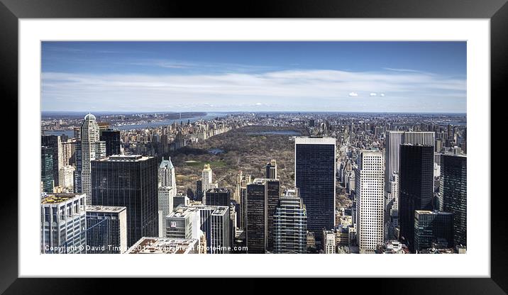 Central Park Framed Mounted Print by David Tinsley