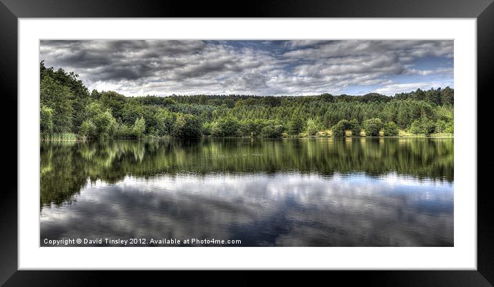 Summer Reflections Framed Mounted Print by David Tinsley
