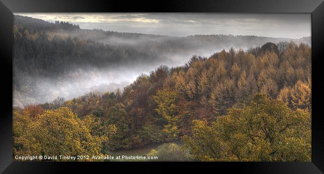 Misty Autumn Morning Framed Print by David Tinsley