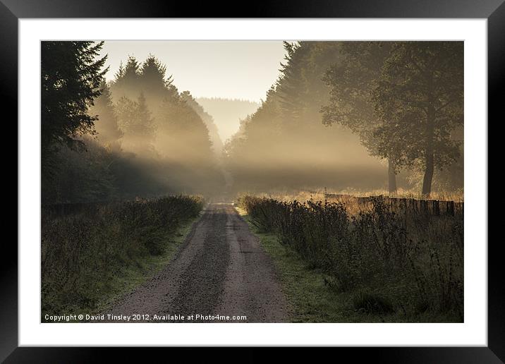 Misty Morn Framed Mounted Print by David Tinsley