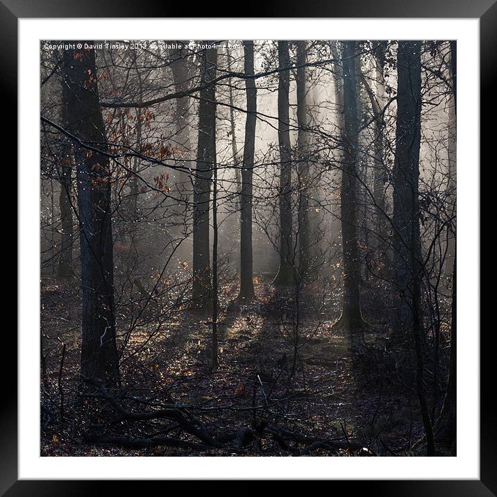 Misty Dean Framed Mounted Print by David Tinsley