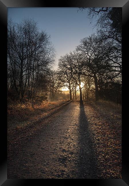 Cycle Path Sunrise Framed Print by David Tinsley