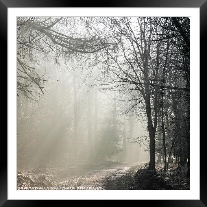 Misty Forest Sunrise Framed Mounted Print by David Tinsley