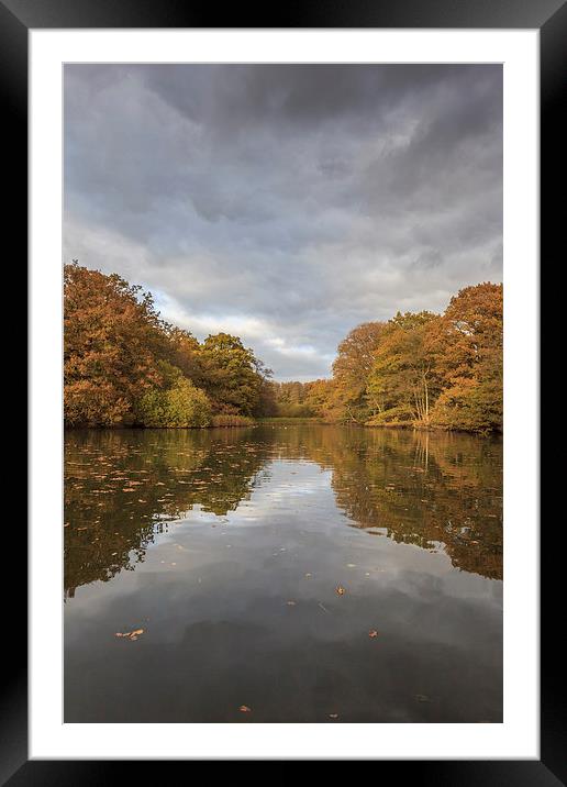 Autumn Ponds - 3 Framed Mounted Print by David Tinsley