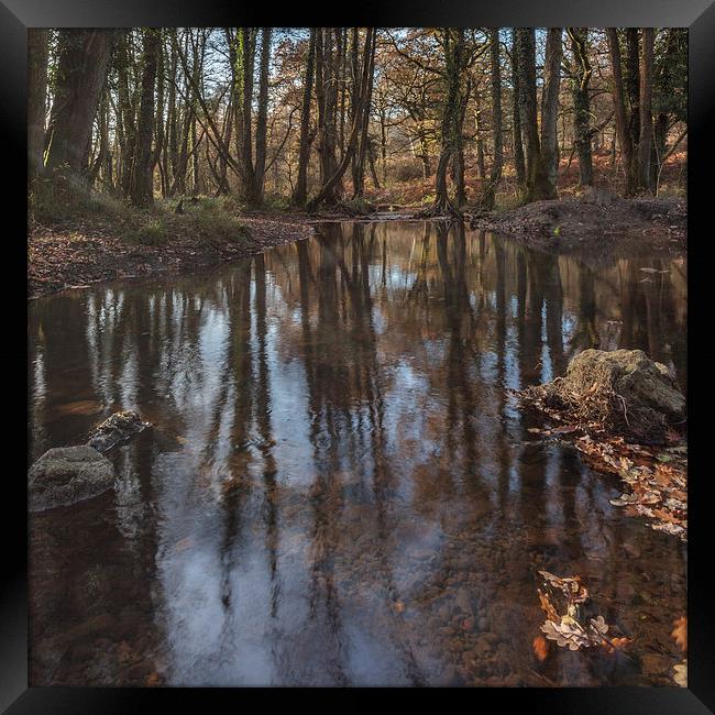 Reflections in the Stream Framed Print by David Tinsley