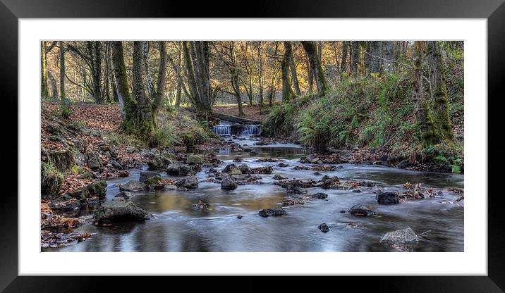 Cannop Brook Panorama Framed Mounted Print by David Tinsley
