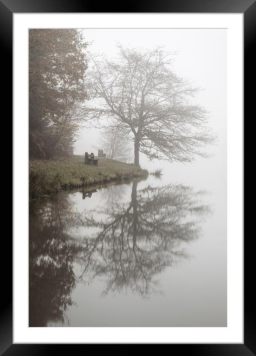 Oak Reflections Framed Mounted Print by David Tinsley