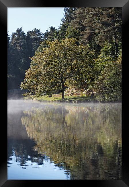 Misty Mallards Pike - 2 Framed Print by David Tinsley