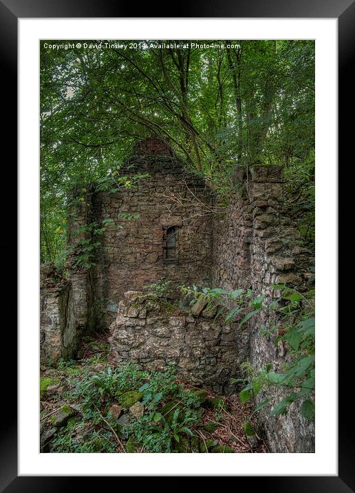  Derelict Cottage Framed Mounted Print by David Tinsley