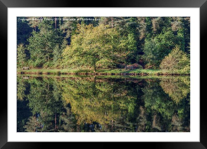 Summer Reflections Framed Mounted Print by David Tinsley