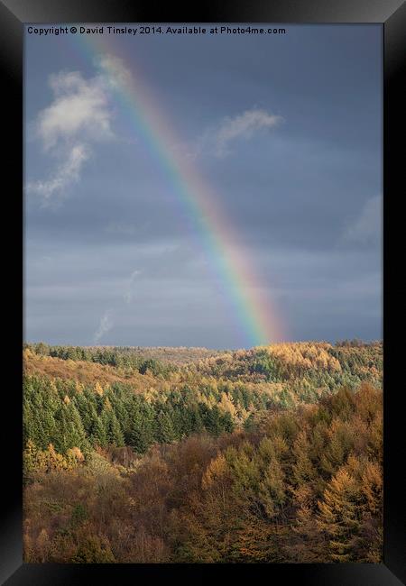  Rainbows End Framed Print by David Tinsley