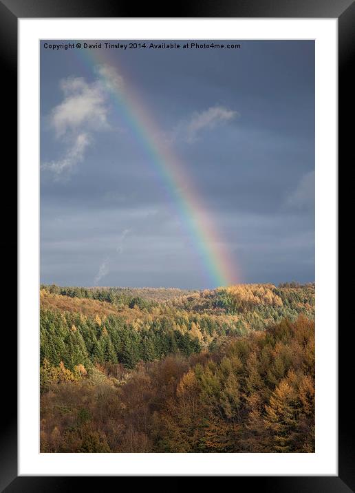  Rainbows End Framed Mounted Print by David Tinsley