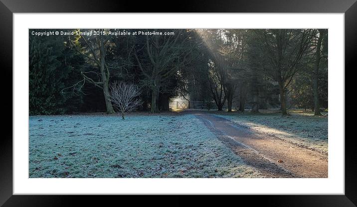  Dawn Panorama Framed Mounted Print by David Tinsley