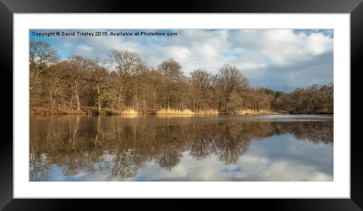 Winter Ponds Framed Mounted Print by David Tinsley