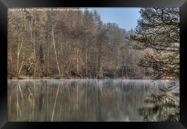  Winter Reflections Framed Print by David Tinsley