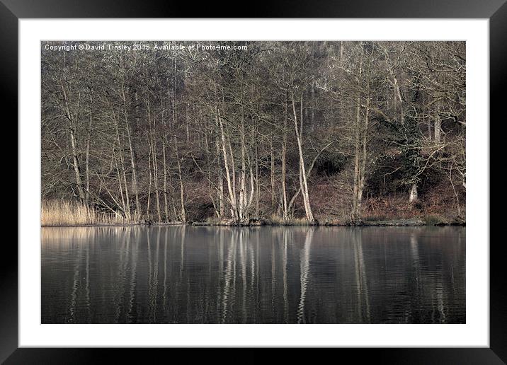  Winter at Cannop Ponds - 2 Framed Mounted Print by David Tinsley