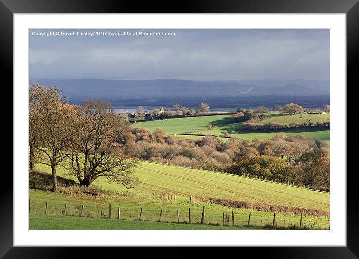  Winter Farmland Framed Mounted Print by David Tinsley