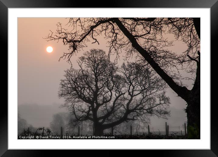 Morning Silhouette Framed Mounted Print by David Tinsley
