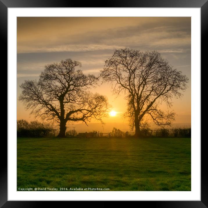 Winter Sunrise 3 Framed Mounted Print by David Tinsley