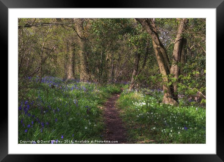 Kears Wood Framed Mounted Print by David Tinsley