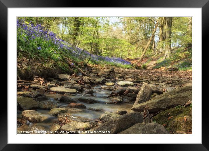 Bells by the Stream Framed Mounted Print by David Tinsley