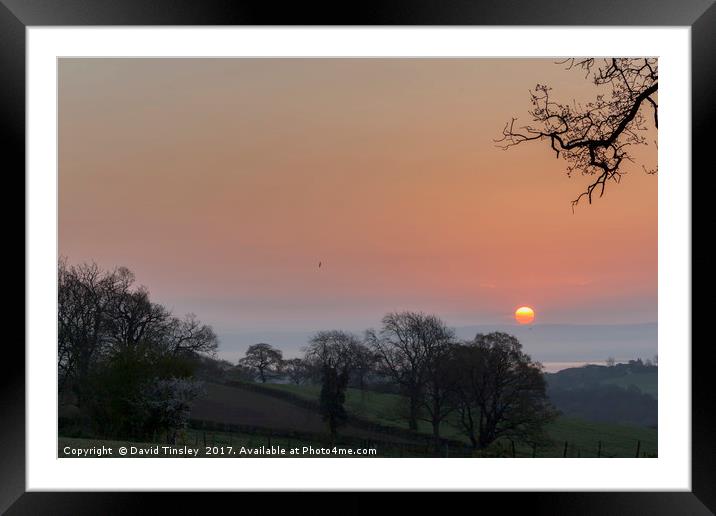 Spring Sunrise Framed Mounted Print by David Tinsley
