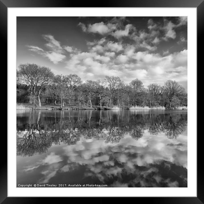 Late Winter Reflections Framed Mounted Print by David Tinsley