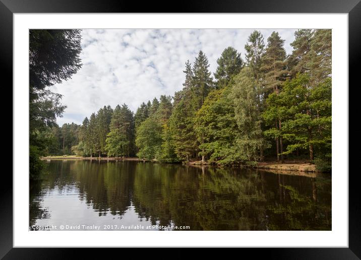 Summer Reflections - 3 Framed Mounted Print by David Tinsley