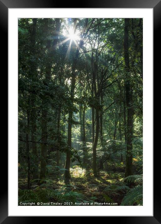 Early Autumn Sunrise Framed Mounted Print by David Tinsley