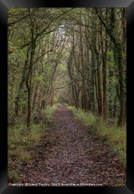 The Old Railway Line Framed Print by David Tinsley