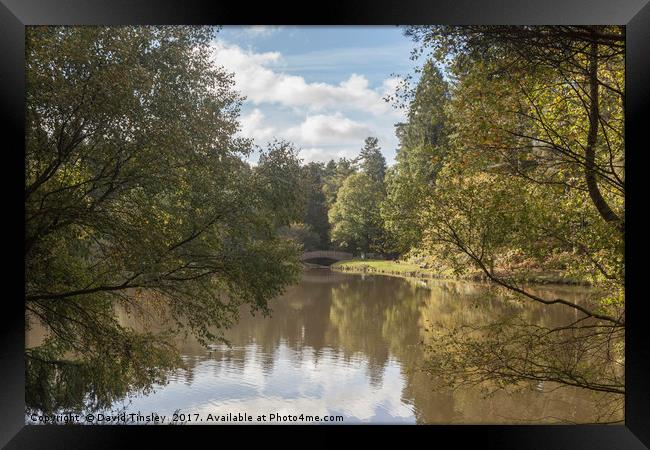 Early Autumn Reflections Framed Print by David Tinsley
