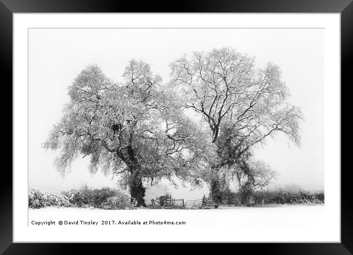 Snowbound 1 Framed Mounted Print by David Tinsley