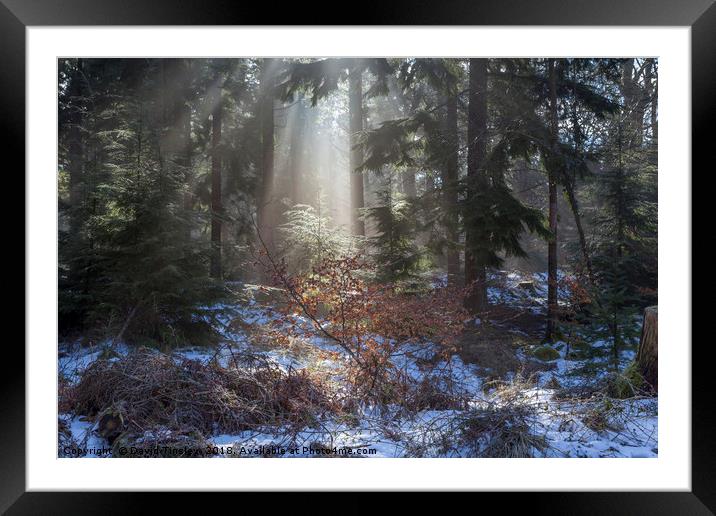 Winter Sunrise Framed Mounted Print by David Tinsley
