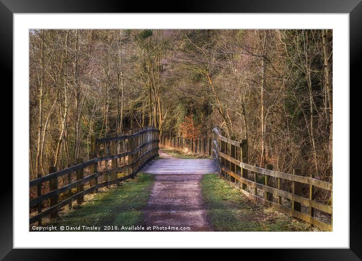 Along the Cycle Path Framed Mounted Print by David Tinsley